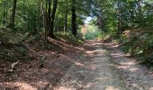Trail Walking Saint-Hubert - Mirwart redu  - Photo 9
