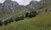 Tour Zu Fuß Cabrales - Cinturón verde de Cabrales - Photo 7