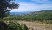 Randonnée Marche nordique Les Salces - Boucle du Loup depuis les Salces - Photo 14