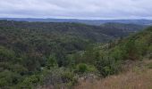 Tour Wandern Arcambal - Étape 5 Les Mazuts Cahen - Photo 11