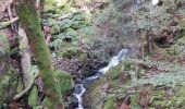 Trail Walking Mittlach - Chapelle du Kolben - Rainkopf - Rothenbakopf - Photo 1