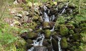 Trail Walking Metzeral - lac de schiessrothried par vallée de la wormsa  - Photo 19