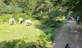 Trail Horseback riding Auritz - 2023 R2 J1 - Photo 19