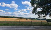 Trail Walking Ouffet - promenade au bois d'Ouffet et du trou du Loup - Photo 4