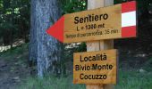 Tocht Te voet Mangone - (SI U23) Piano Lago - Casellone Forestale di Monte Cocuzzo - Photo 1