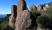 Tour Wandern Bagnols-en-Forêt - Parking sur D47 - La Forteresse - Col de la Pierre à Coucou - Gorges du Blavet  - Photo 7