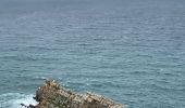 Trail Walking Crozon - Cap de la chèvre -Kerroux  - Photo 2