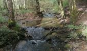 Randonnée Marche Vresse-sur-Semois - Rando au départ de Bohan  - Photo 3