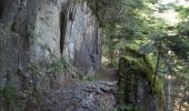 Tocht Stappen Cauterets - Plateau du Lisey - Photo 15