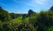 Tocht Stappen Philippeville - Balade de Villers-le-Gambon à Franchimont - Photo 6