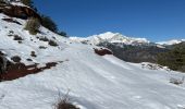 Tocht Sneeuwschoenen La Croix-sur-Roudoule - Haute Mihubi  - Photo 2