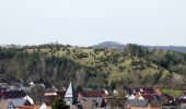 Tour Zu Fuß Gutsbezirk Kaufunger Wald - Premiumweg P 9 Wacholderpfad - Photo 5