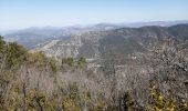 Randonnée Marche Beaumont-du-Ventoux - sommet de la plate - Photo 7