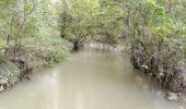 Tour Wandern Nanteuil-Notre-Dame - Nanteuil-Notre-Dame du 02-10-2024 - Photo 12