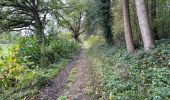 Randonnée Marche Anhée - Maredsous 7 km - Photo 4