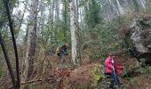 Randonnée Marche Fozières - Fauzieres jolie balade, fangouze, belle montée et retour dans la foret - Photo 2