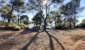 Trail Walking Aix-en-Provence - Randonnée des barrages Zola et Bimont - Photo 17
