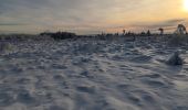 Trail Walking Spa - tour de la fagne de Malchamps dans la neige  - Photo 11