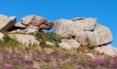 Randonnée Marche Perros-Guirec - LE SENTIER DES DOUANIERS  - Photo 12