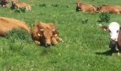 Tour Wandern Viuz-la-Chiésaz - SEMNOZ: BALADE EN ALPAGE - Photo 2