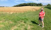 Tour  Castelnau-de-Montmiral - Chemin de Gradille avec chapelle  - Photo 8