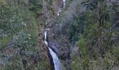 Excursión Senderismo Funchal (Santa Maria Maior) - Monte par le Levada do Bom Sucesso (Rother n°2 inversé) - Photo 11