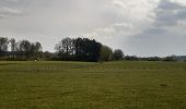 Tocht Stappen Durbuy - entre le menhir Pire Hena et le dolmen de Weris ... wouai... - Photo 2