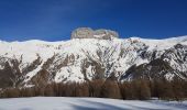 Trail Snowshoes Méolans-Revel - Laverq - Photo 3