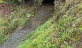 Randonnée Marche Gerpinnes - Sentier Henri de Glume - Photo 4