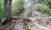 Tour Wandern Ouhans - RANDONNEE A LA SOURCE DE LA LOUE - Photo 9