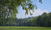 Tocht Stappen Dison - Andrimont - Nez de Napoléon  - Limbourg - Photo 9