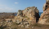 Excursión Senderismo Penvénan - Port blanc - Pointe du Château  - Photo 10