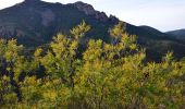 Trail Walking Saint-Raphaël - Pk Belle Barbe - Baisse des Sangliers - Pic Cap Roux - Grotte St Honorat - Photo 3