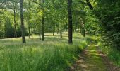 Tour Wandern Somme-Leuze - baillonville à la saison du chèvrefeuille  - Photo 6