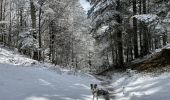 Trail Walking Cornimont - Col du Brabant - croix Louis par Mansuy et Boulaite - Photo 11