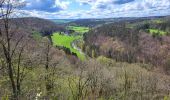 Trail Walking Rochefort - Belvaux 280423 - Photo 14