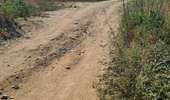 Tour Quad Collioure - Collioure - Villeneuve-de-la-Raho  - Photo 6