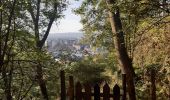 Randonnée Marche Liège - petit tour dominical coteaux batte  - Photo 9