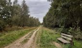 Tocht Stappen Spa - grand tour de la fagne de Malchamps - Photo 6