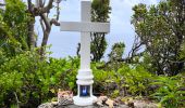 Randonnée Marche Anse-Bertrand - Guadeloupe - Pointe de la Petite Vigie à Pointe de la Grande Vigie - Photo 8