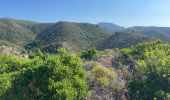 Trail Walking Fréjus - Le Vinaigre depuis le pont de la Bécasse  - Photo 3