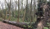 Trail Walking Yerres - Rando douce  - Photo 1