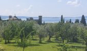 Tocht Stappen Acquapendente - CR_Francigena_DK_47_Acquapendente_Bolsena_20230530 - Photo 16