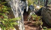 Tocht Stappen Fontainebleau - Sentier Denecourt 3 - Photo 12