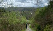 Percorso Marcia La Roche-en-Ardenne - Beausaint - Photo 4