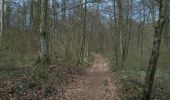 Trail Mountain bike Virton - Gorcy  -  Balade_VTT_38kms - Photo 7