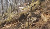 Tour Wandern Bad Niederbronn - Grand Wintersberg & plan d'eau Wolfartshoffen - Photo 4