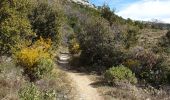 Trail Walking Gémenos - Col de L'Espigoulier, col de Bretagne, Dents de Roque Forcade A/R - Photo 18