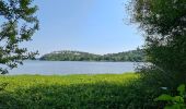 Tocht Stappen Aureilhan - Tour du Lac Aureilhan  - Photo 2