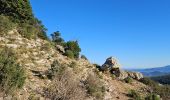Randonnée Marche La Farlède - Petit Coudon en partant de La Farlède - Photo 9